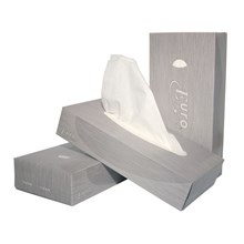 Facial tissue cellulose 2-lgs 21x21cm 40x100st